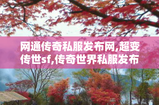 网通传奇私服发布网,超变传世sf,传奇世界私服发布网刚开一秒,超变传世sf