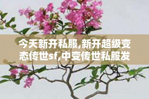 今天新开私服,新开超级变态传世sf,中变传世私服发布网,新开超级变态传世sf