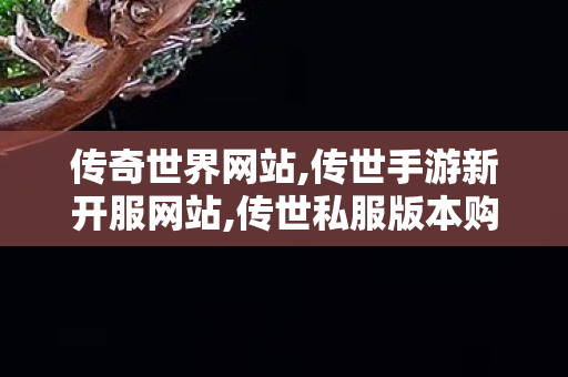 传奇世界网站,传世手游新开服网站,传世私服版本购买,传世手游新开服网站