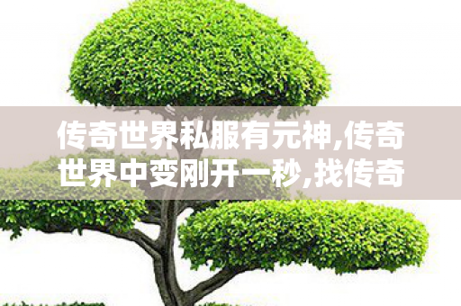 传奇世界私服有元神,传奇世界中变刚开一秒,找传奇世界私服首区,传奇世界中变刚开一秒