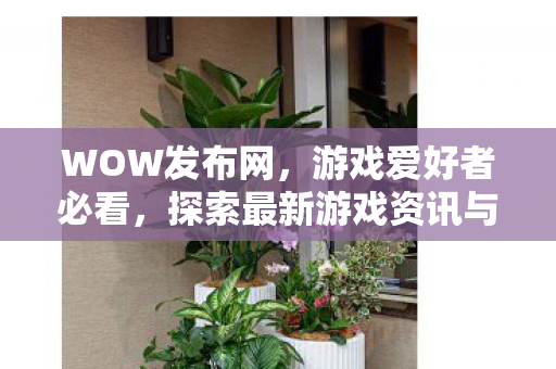 WOW发布网，游戏爱好者必看，探索最新游戏资讯与动态