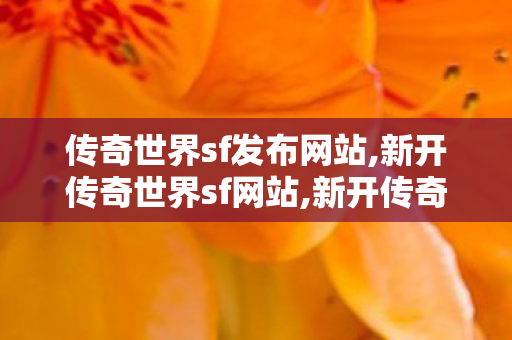 传奇世界sf发布网站,新开传奇世界sf网站,新开传奇世界网站中变,新开传奇世界sf网站