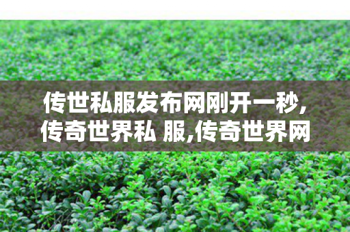 传世私服发布网刚开一秒,传奇世界私 服,传奇世界网站,传奇世界私 服