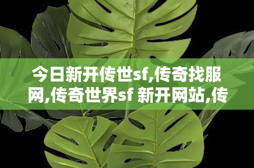 今日新开传世sf,传奇找服网,传奇世界sf 新开网站,传奇找服网