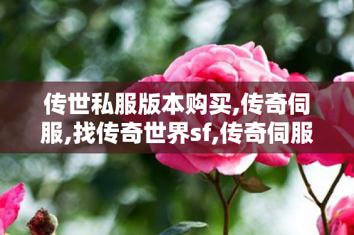 传世私服版本购买,传奇伺服,找传奇世界sf,传奇伺服