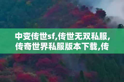 中变传世sf,传世无双私服,传奇世界私服版本下载,传世无双私服