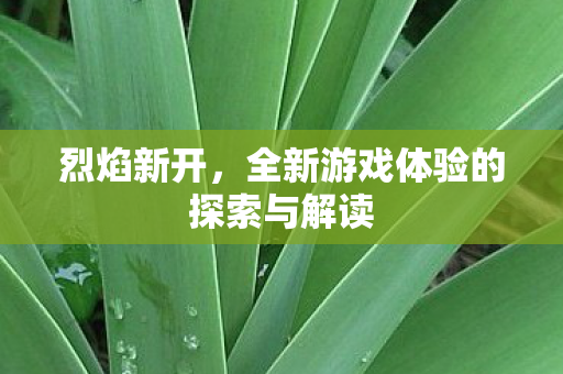 烈焰新开，全新游戏体验的探索与解读