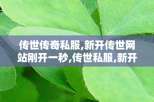 传世传奇私服,新开传世网站刚开一秒,传世私服,新开传世网站刚开一秒