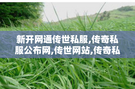 新开网通传世私服,传奇私服公布网,传世网站,传奇私服公布网
