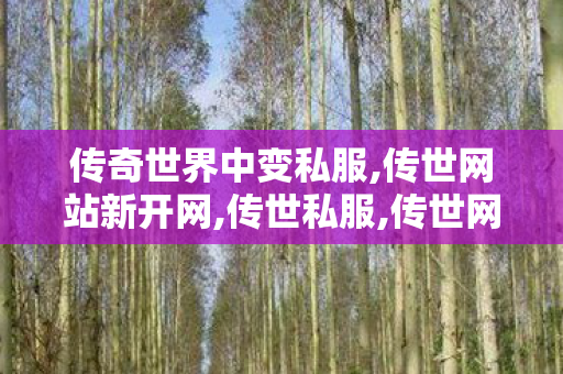传奇世界中变私服,传世网站新开网,传世私服,传世网站新开网