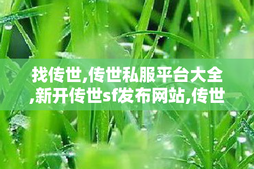 找传世,传世私服平台大全,新开传世sf发布网站,传世私服平台大全