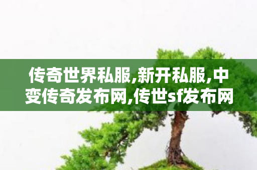 传奇世界私服,新开私服,中变传奇发布网,传世sf发布网新服,中变传奇发布网
