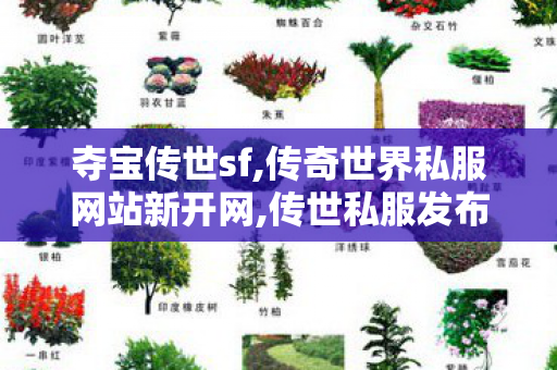 夺宝传世sf,传奇世界私服网站新开网,传世私服发布网新区,传奇世界私服网站新开网