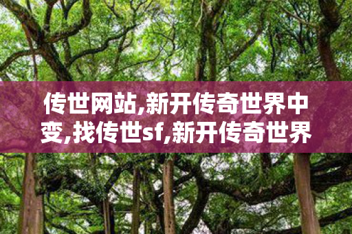 传世网站,新开传奇世界中变,找传世sf,新开传奇世界中变
