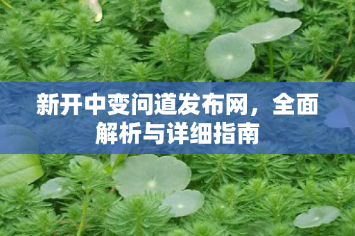 新开中变问道发布网，全面解析与详细指南