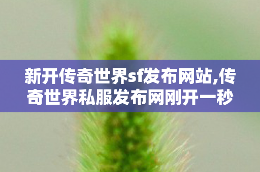 新开传奇世界sf发布网站,传奇世界私服发布网刚开一秒,中变传世sf,传奇世界私服发布网刚开一秒