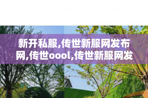 新开私服,传世新服网发布网,传世oool,传世新服网发布网