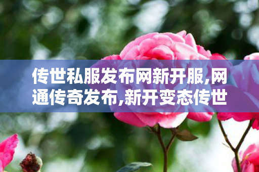 传世私服发布网新开服,网通传奇发布,新开变态传世私服网,网通传奇发布