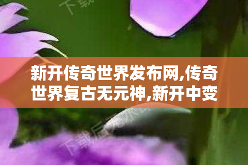 新开传奇世界发布网,传奇世界复古无元神,新开中变传奇发布网站,传奇世界复古无元神