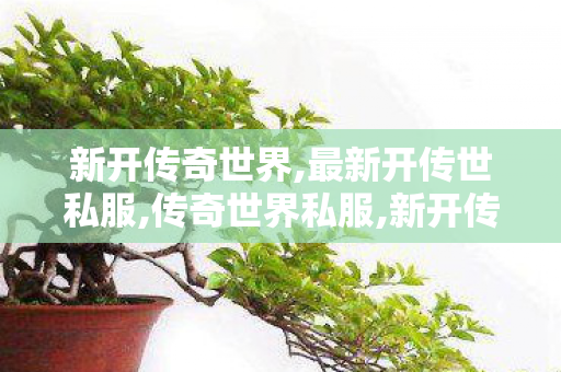 新开传奇世界,最新开传世私服,传奇世界私服,新开传世sf,最新开传世私服