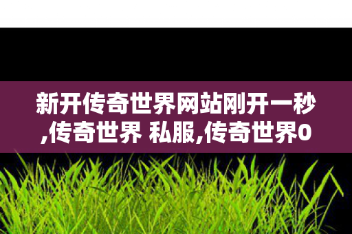 新开传奇世界网站刚开一秒,传奇世界 私服,传奇世界0私服,传奇世界 私服