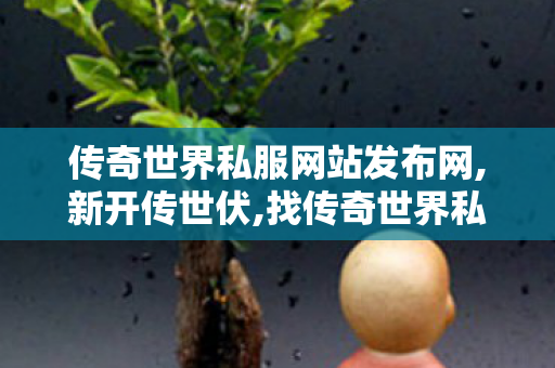 传奇世界私服网站发布网,新开传世伏,找传奇世界私服网址,新开传世伏