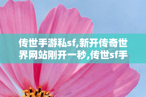 传世手游私sf,新开传奇世界网站刚开一秒,传世sf手游,新开传奇世界网站刚开一秒