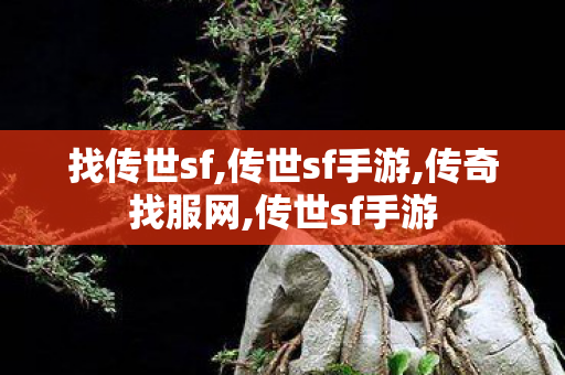 找传世sf,传世sf手游,传奇找服网,传世sf手游