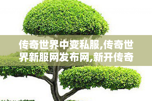 传奇世界中变私服,传奇世界新服网发布网,新开传奇微变网站,传奇世界新服网发布网