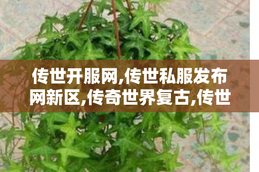传世开服网,传世私服发布网新区,传奇世界复古,传世私服发布网新区