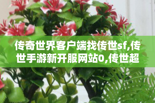 传奇世界客户端	找传世sf,传世手游新开服网站0,传世超变,传世手游新开服网站0