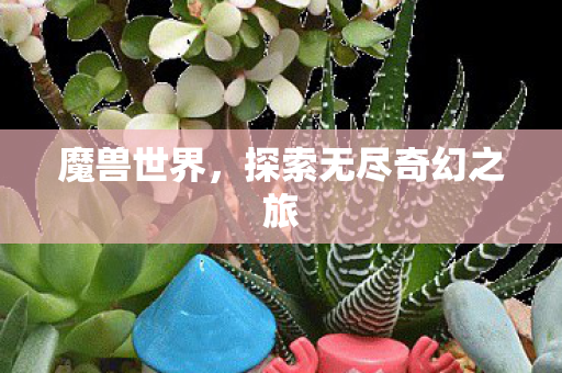 魔兽世界，探索无尽奇幻之旅