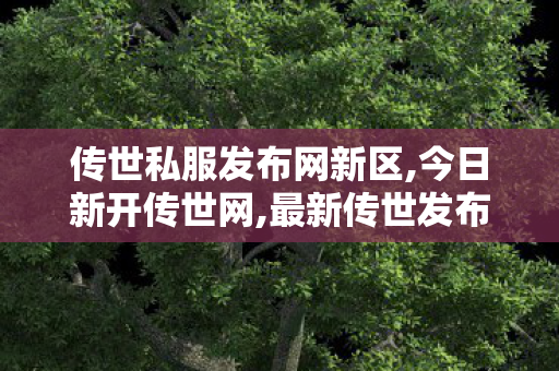 传世私服发布网新区,今日新开传世网,最新传世发布网,今日新开传世网