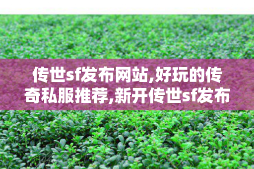 传世sf发布网站,好玩的传奇私服推荐,新开传世sf发布,好玩的传奇私服推荐