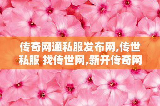 传奇网通私服发布网,传世私服 找传世网,新开传奇网站,传世私服 找传世网