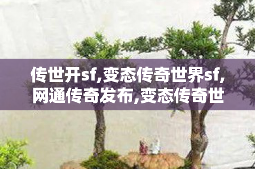 传世开sf,变态传奇世界sf,网通传奇发布,变态传奇世界sf