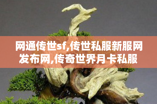 网通传世sf,传世私服新服网发布网,传奇世界月卡私服,传世私服新服网发布网