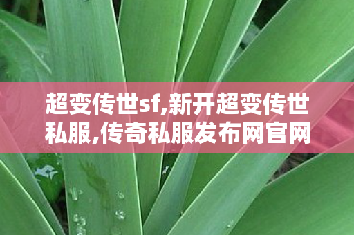 超变传世sf,新开超变传世私服,传奇私服发布网官网,新开超变传世私服