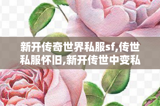 新开传奇世界私服sf,传世私服怀旧,新开传世中变私服,传世私服怀旧