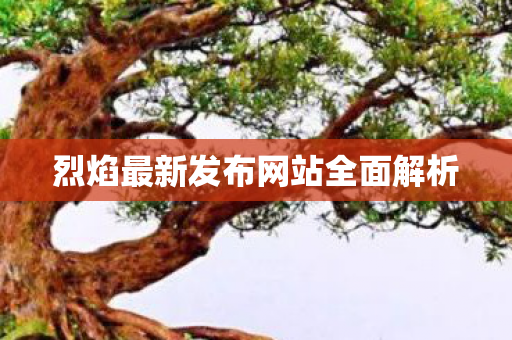 烈焰最新发布网站全面解析