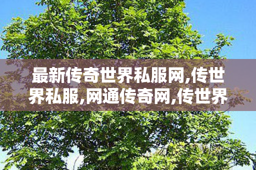 最新传奇世界私服网,传世界私服,网通传奇网,传世界私服