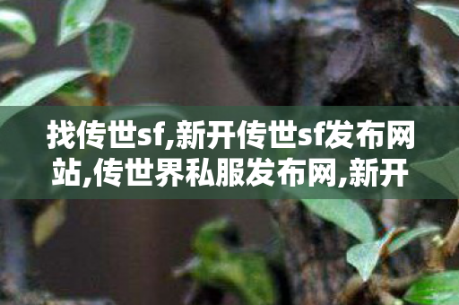 找传世sf,新开传世sf发布网站,传世界私服发布网,新开传世sf发布网站