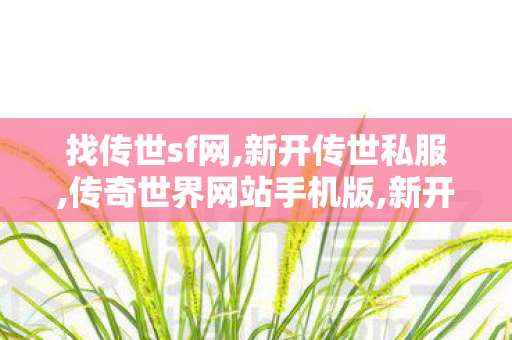 找传世sf网,新开传世私服,传奇世界网站手机版,新开传世私服