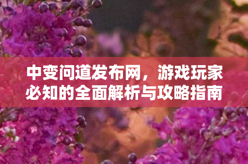 中变问道发布网，游戏玩家必知的全面解析与攻略指南