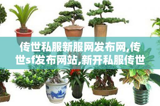 传世私服新服网发布网,传世sf发布网站,新开私服传世,传世sf发布网站