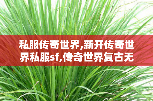 私服传奇世界,新开传奇世界私服sf,传奇世界复古无元神,新开传奇世界私服sf
