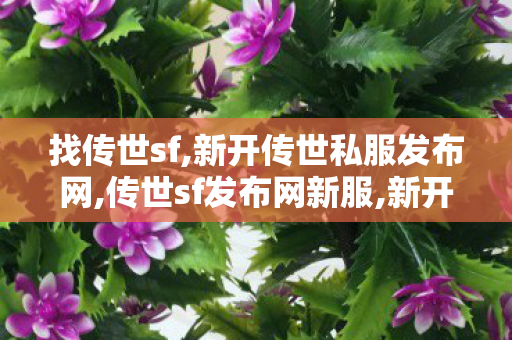 找传世sf,新开传世私服发布网,传世sf发布网新服,新开传世私服发布网
