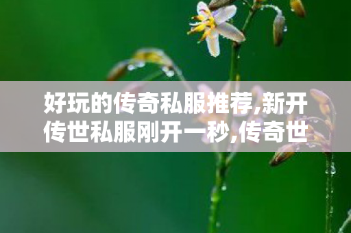 好玩的传奇私服推荐,新开传世私服刚开一秒,传奇世界新开中变sf,新开传世私服刚开一秒