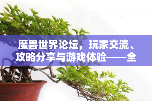 魔兽世界论坛，玩家交流、攻略分享与游戏体验——全面解析游戏世界