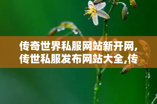 传奇世界私服网站新开网,传世私服发布网站大全,传奇世界私服登陆器,传世私服发布网站大全